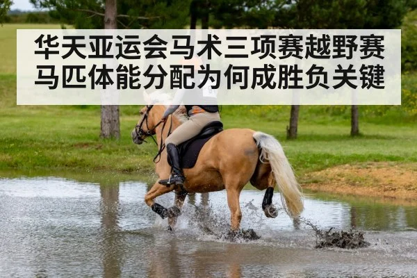 华天亚运会马术三项赛越野赛马匹体能分配为何成胜负关键
